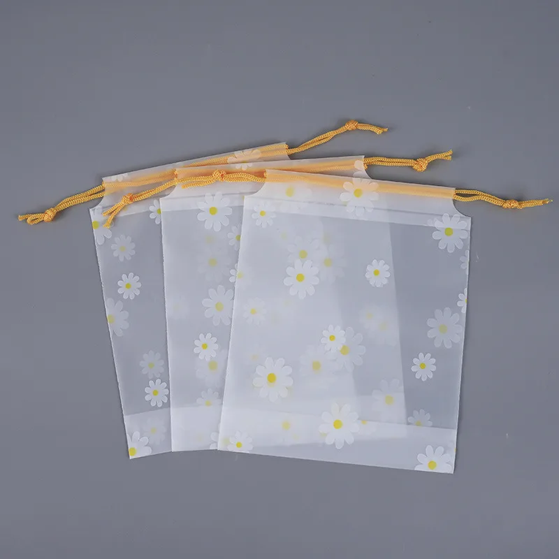 Sock Organizer Tray - 10Pcs Transparent Waterproof Travel Cosmetic Bag