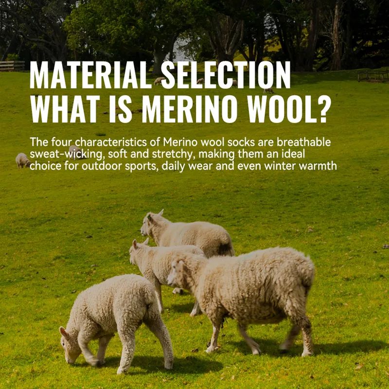 WRELS 1/2/3 Merino Wool Socks  - Thermal Sock Winter review and price